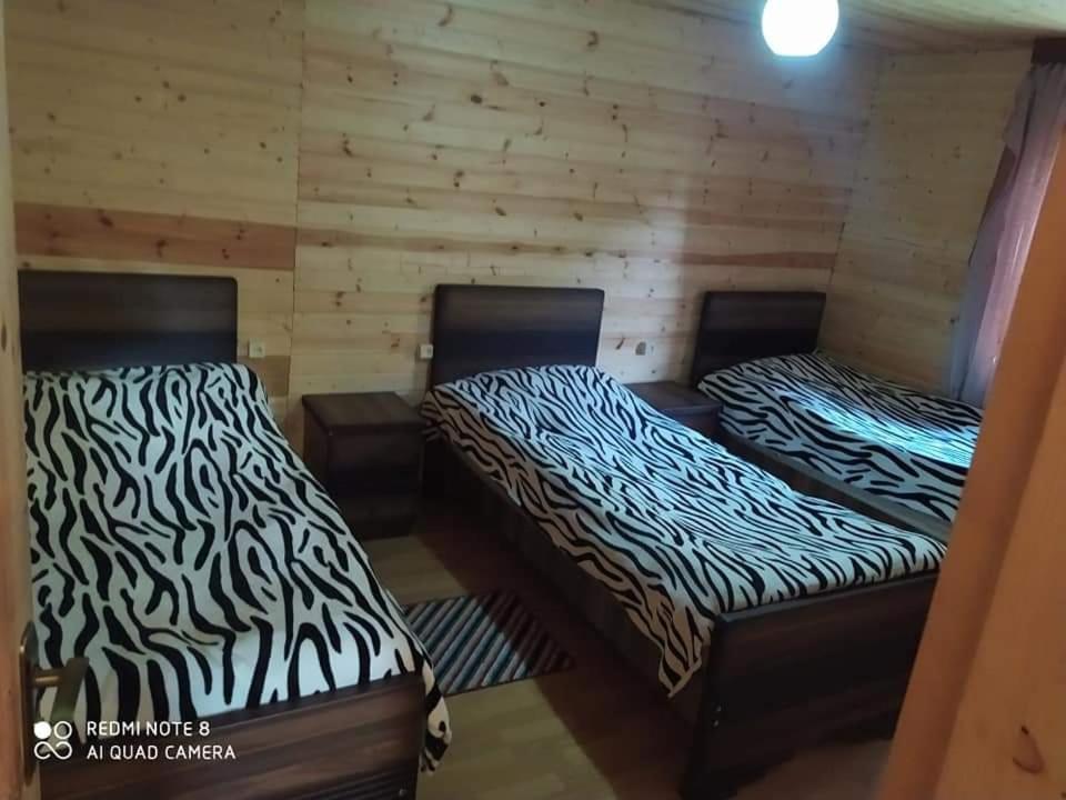 Guesthouse Luka Ушгули Экстерьер фото